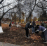 🍂12 ноября в  Центральном городском парке Богучара состоялся общегородской  субботник, организованный в рамках осеннего месячника по благоустройству.. - Богучарский муниципальный район